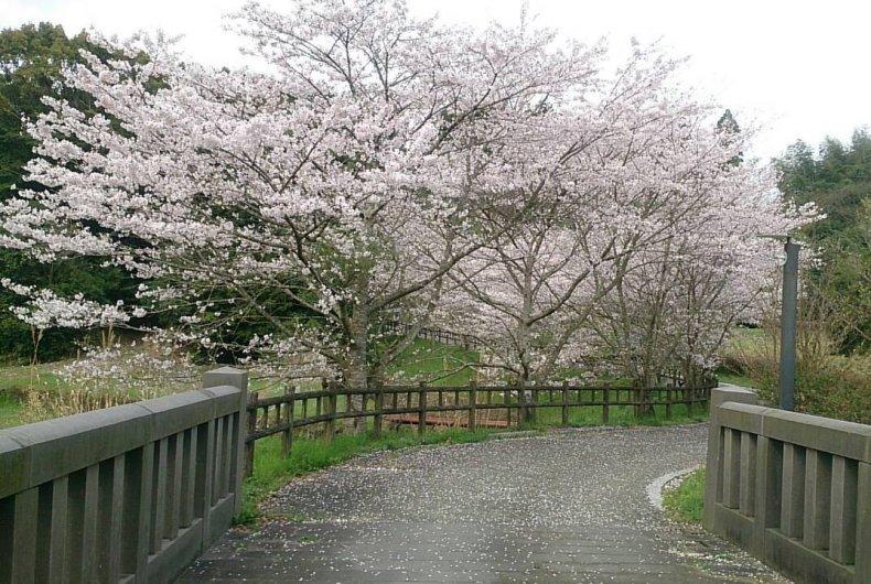 高野山公園・キャンプ場-1