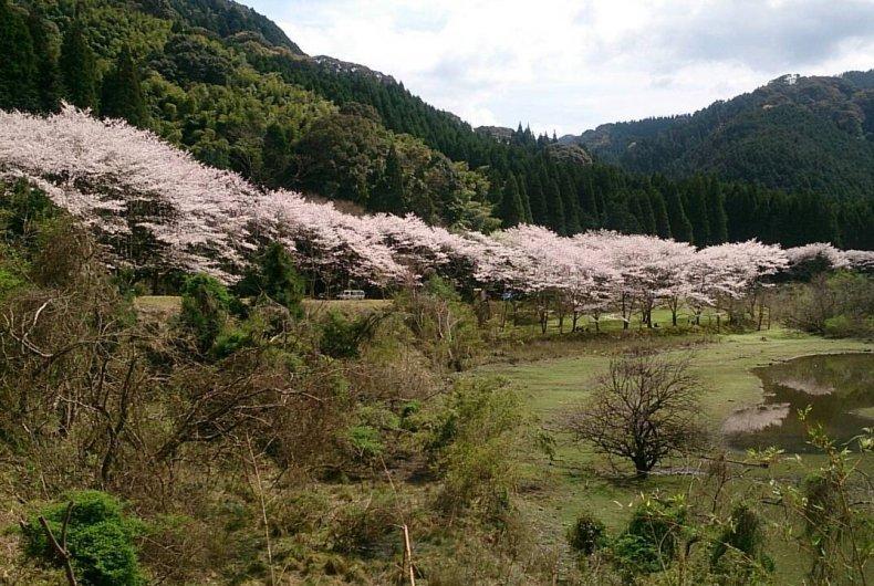 高川ダム周辺公園-0