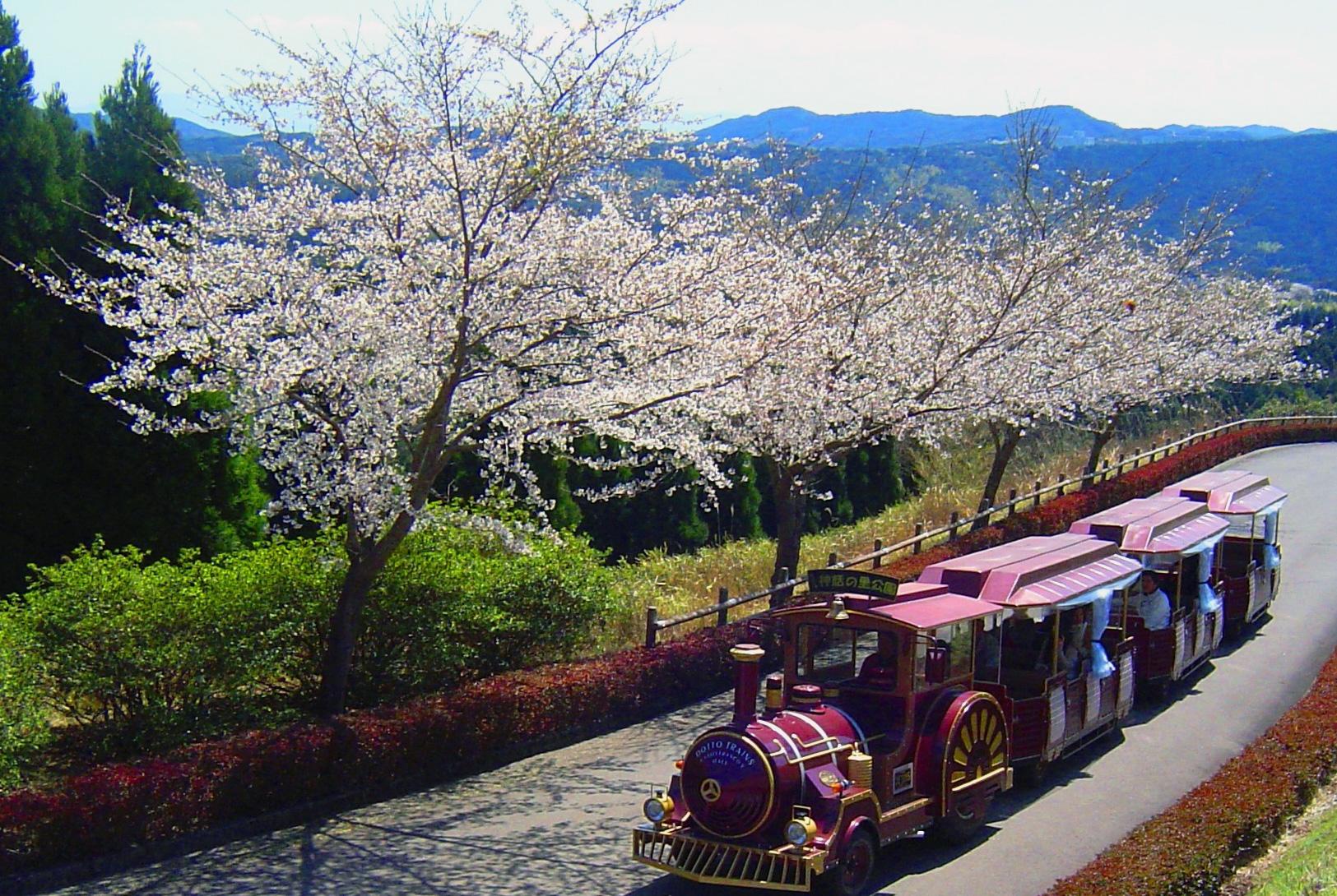 霧島神話の里公園（道の駅霧島）-1