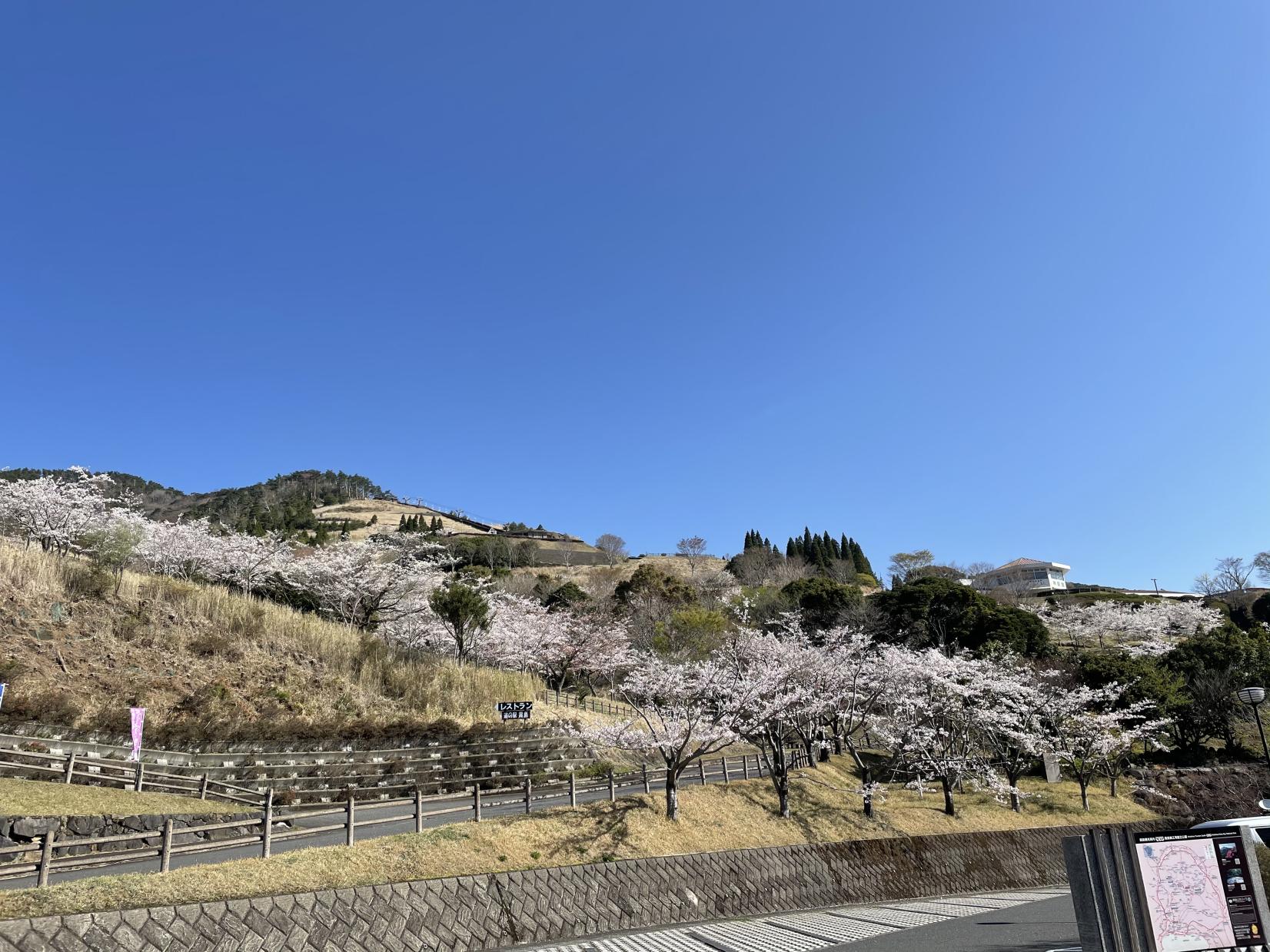 霧島神話の里公園（道の駅霧島）-3