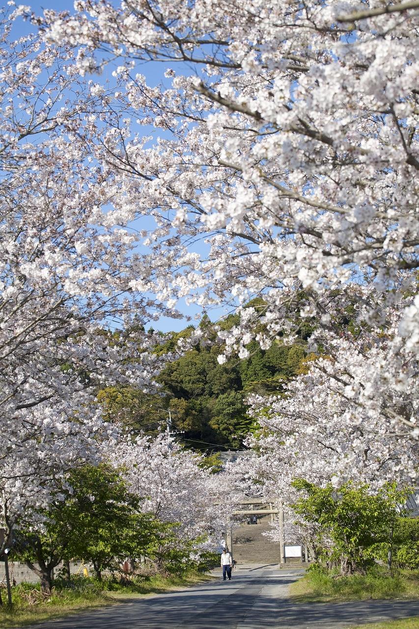 精矛（くわしほこ）神社-2