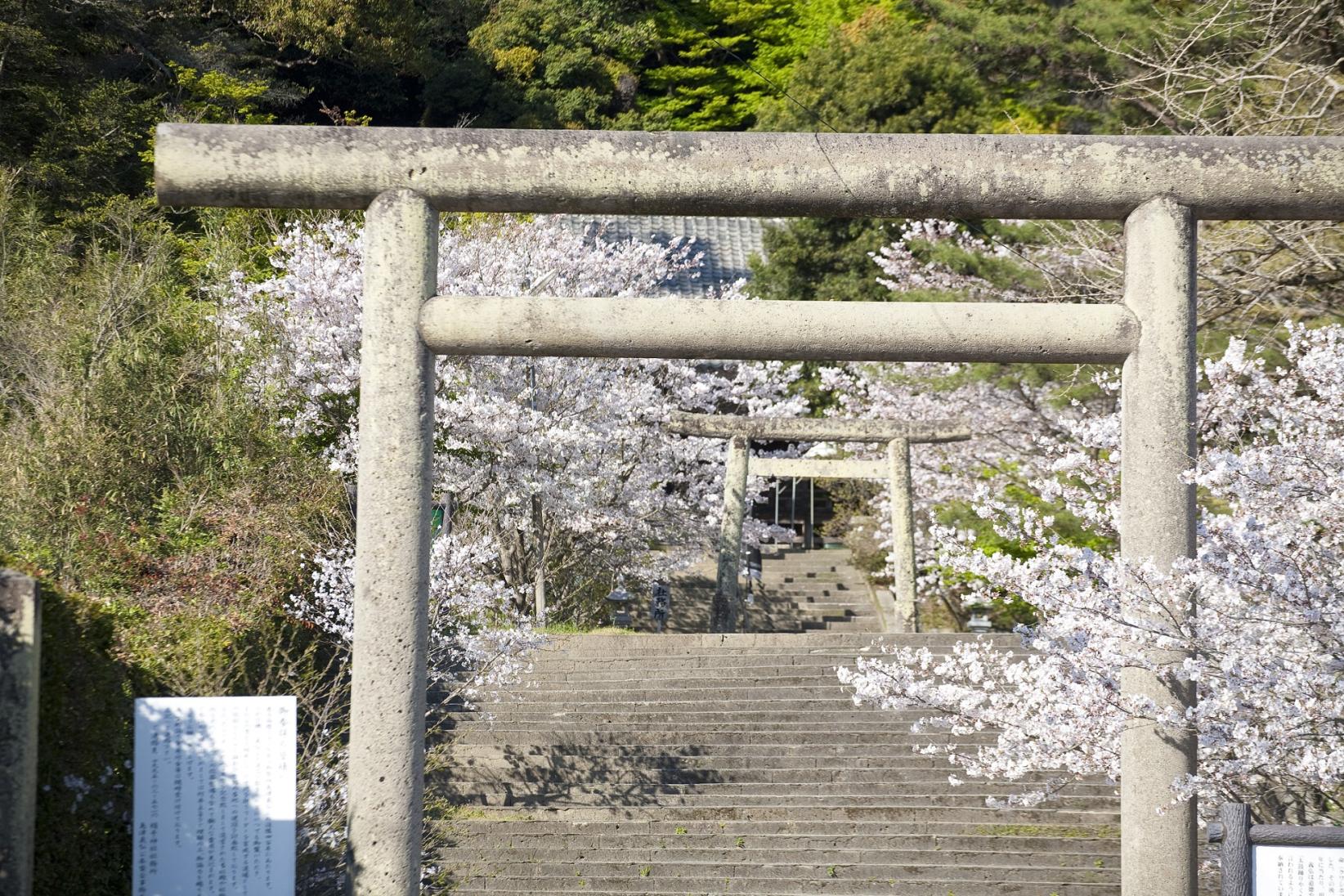 精矛（くわしほこ）神社-1