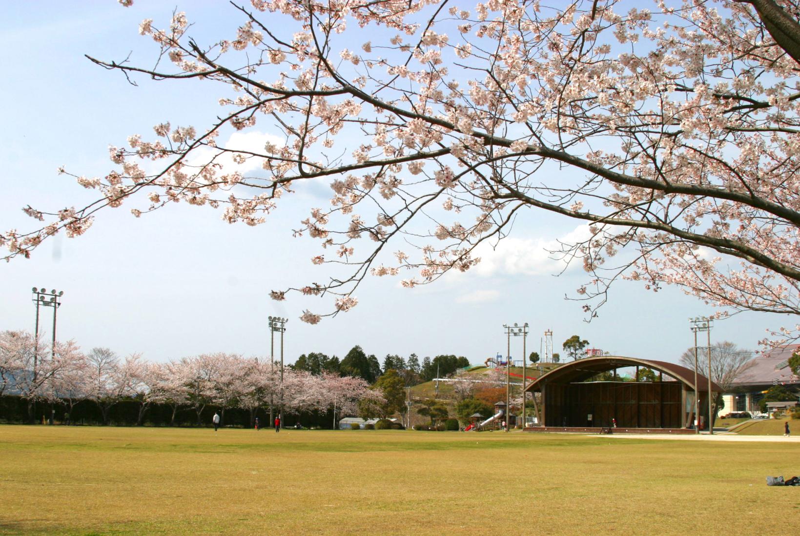 溝辺上床公園-0