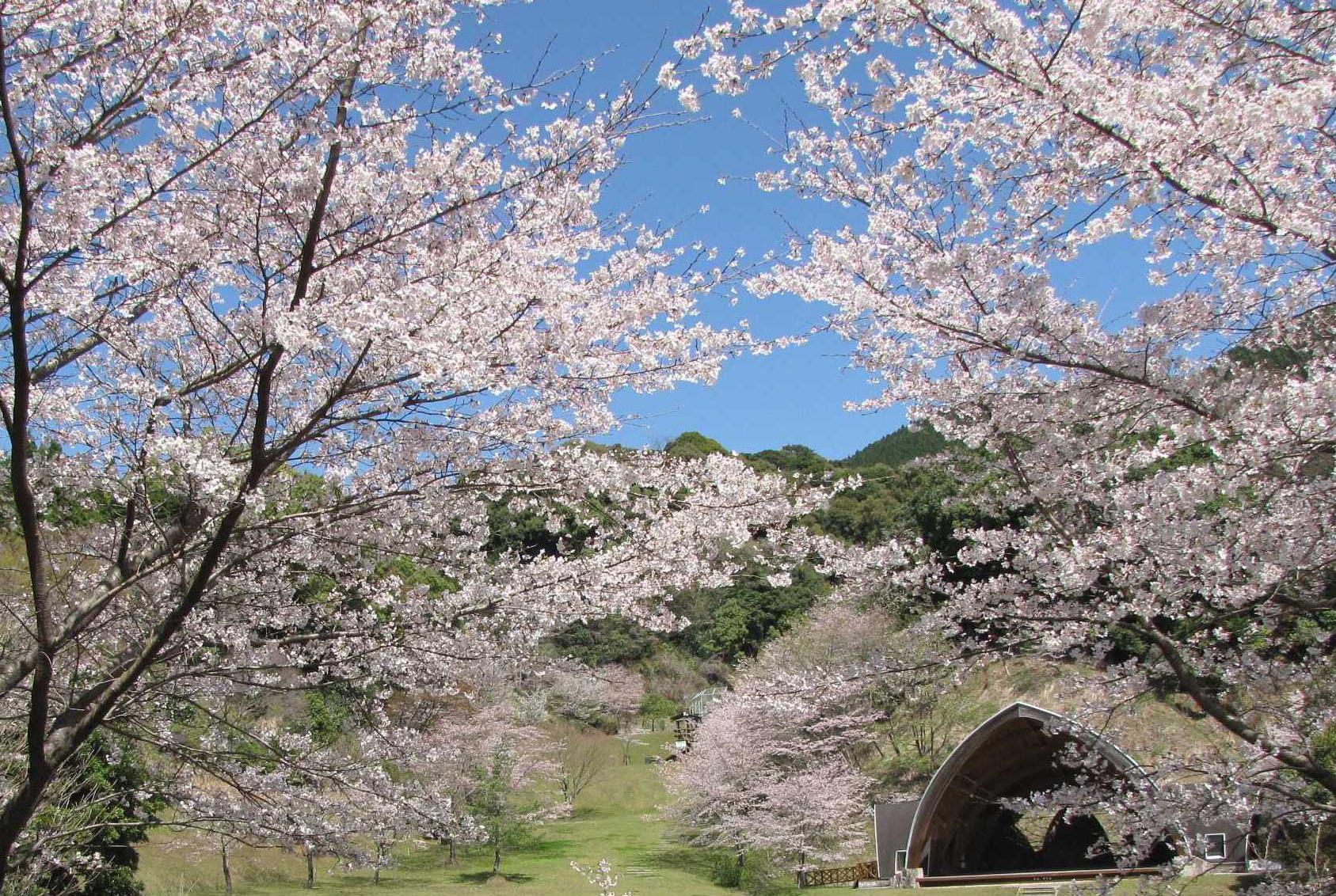 県民の森・キャンプ場-0