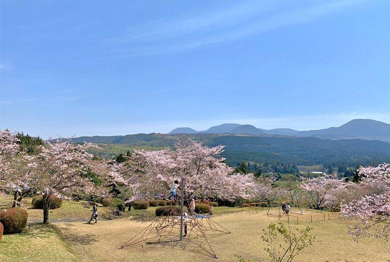 池平公園-0