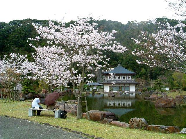 清水岩屋公園・キャンプ場-1