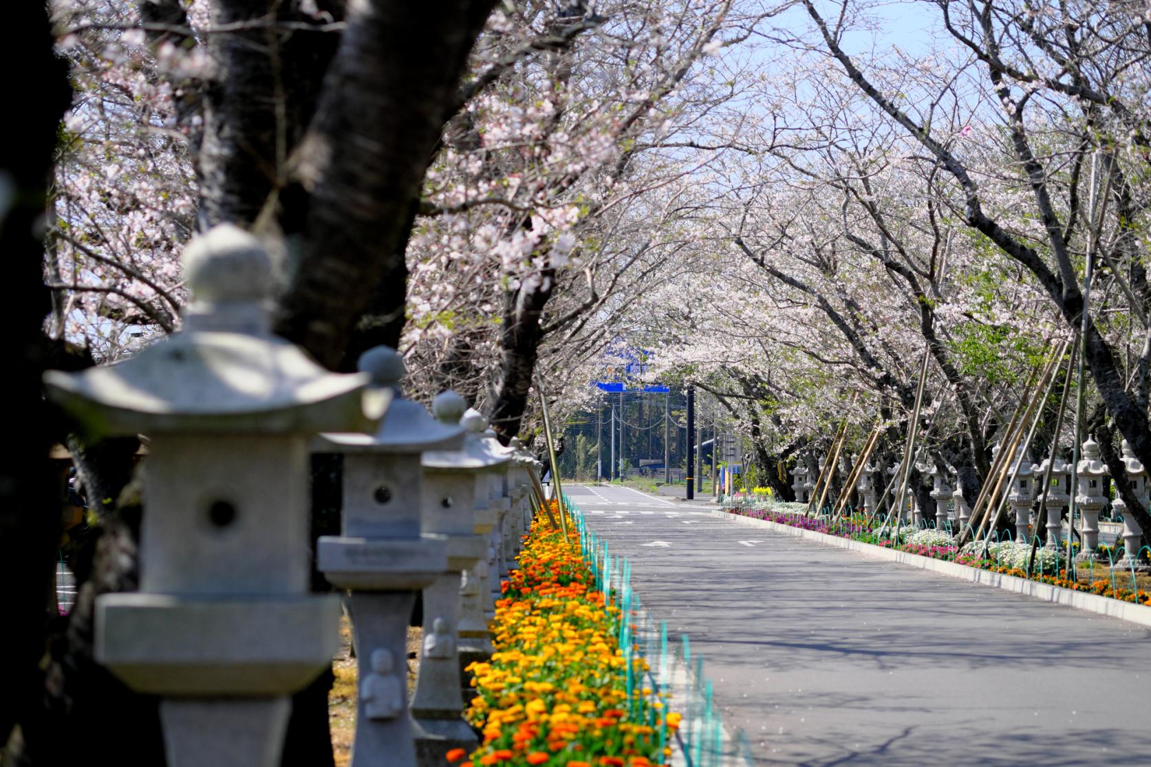 知覧平和公園-2