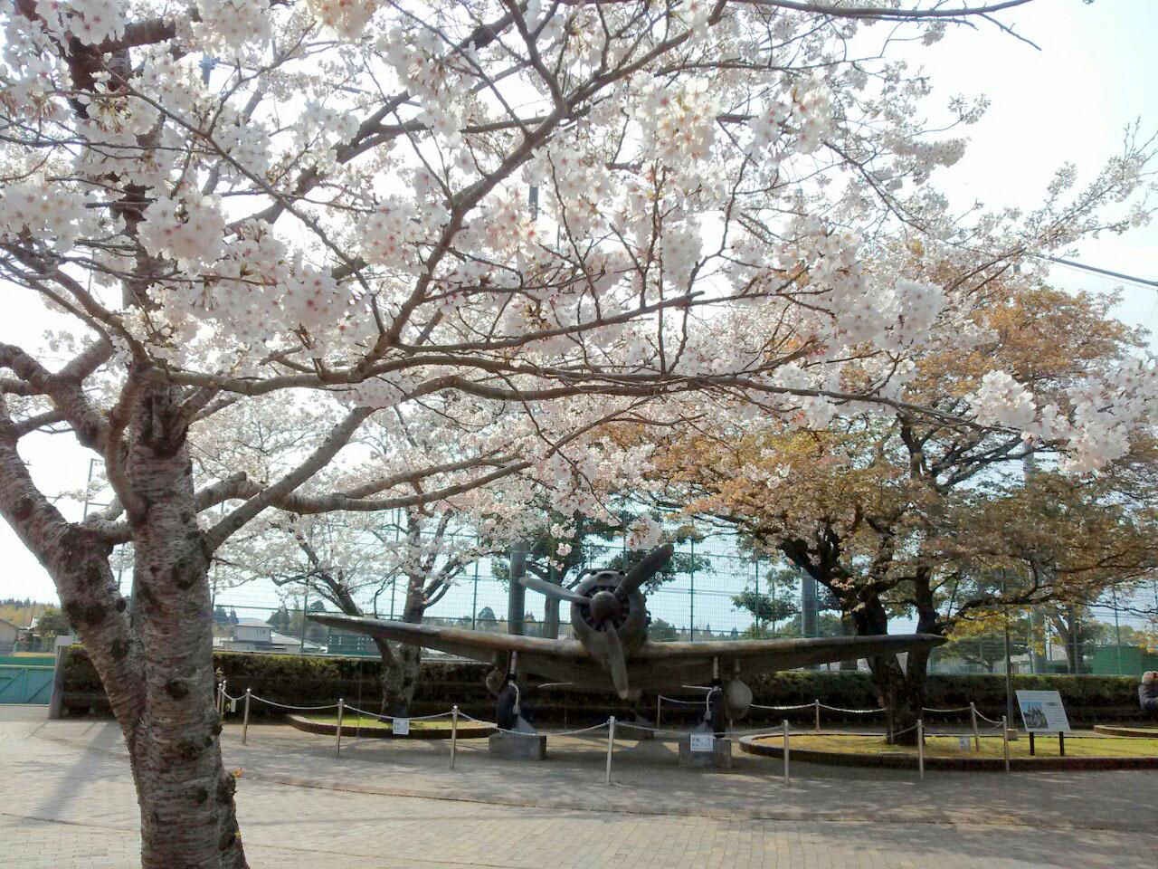 知覧平和公園-1