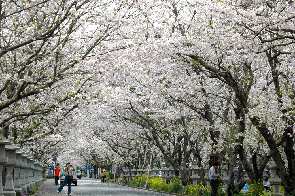 知覧平和公園-3