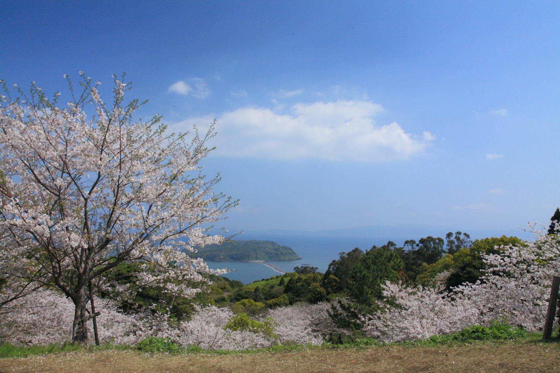 魚見岳-1