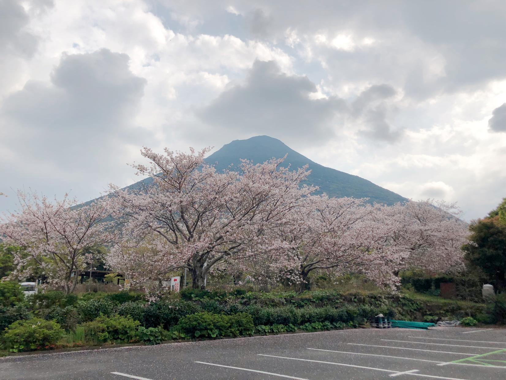 かいもん山麓ふれあい公園-0