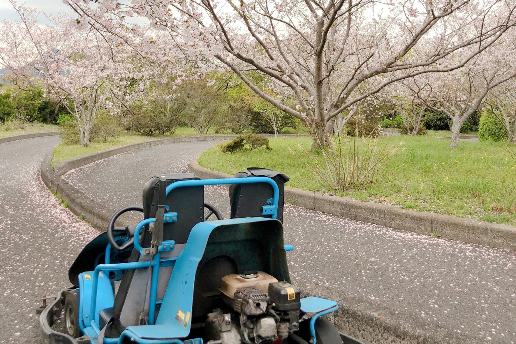 かいもん山麓ふれあい公園-2