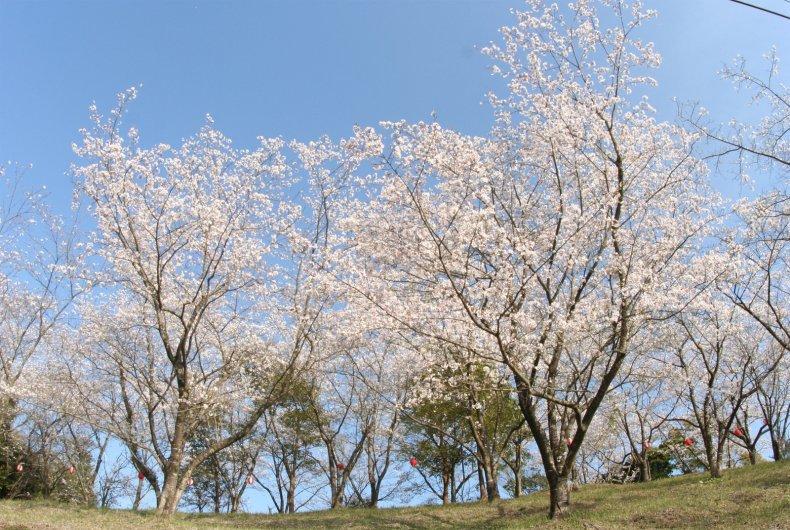 有明開田の里公園-0