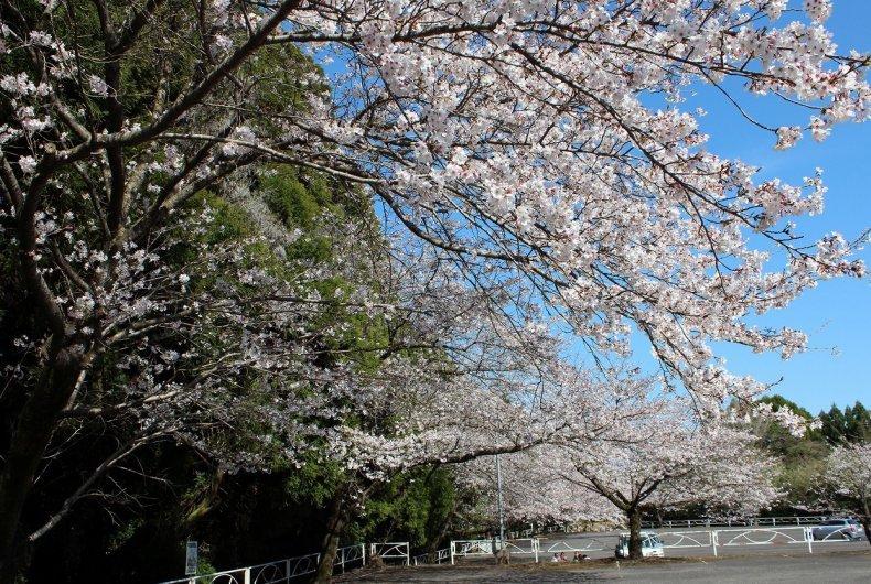 大師公園-0