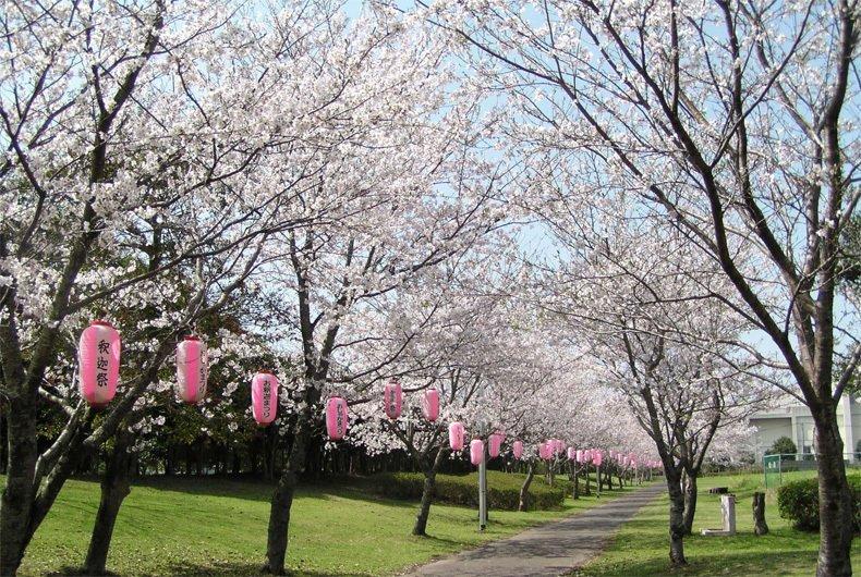 志布志大浜緑地公園-0