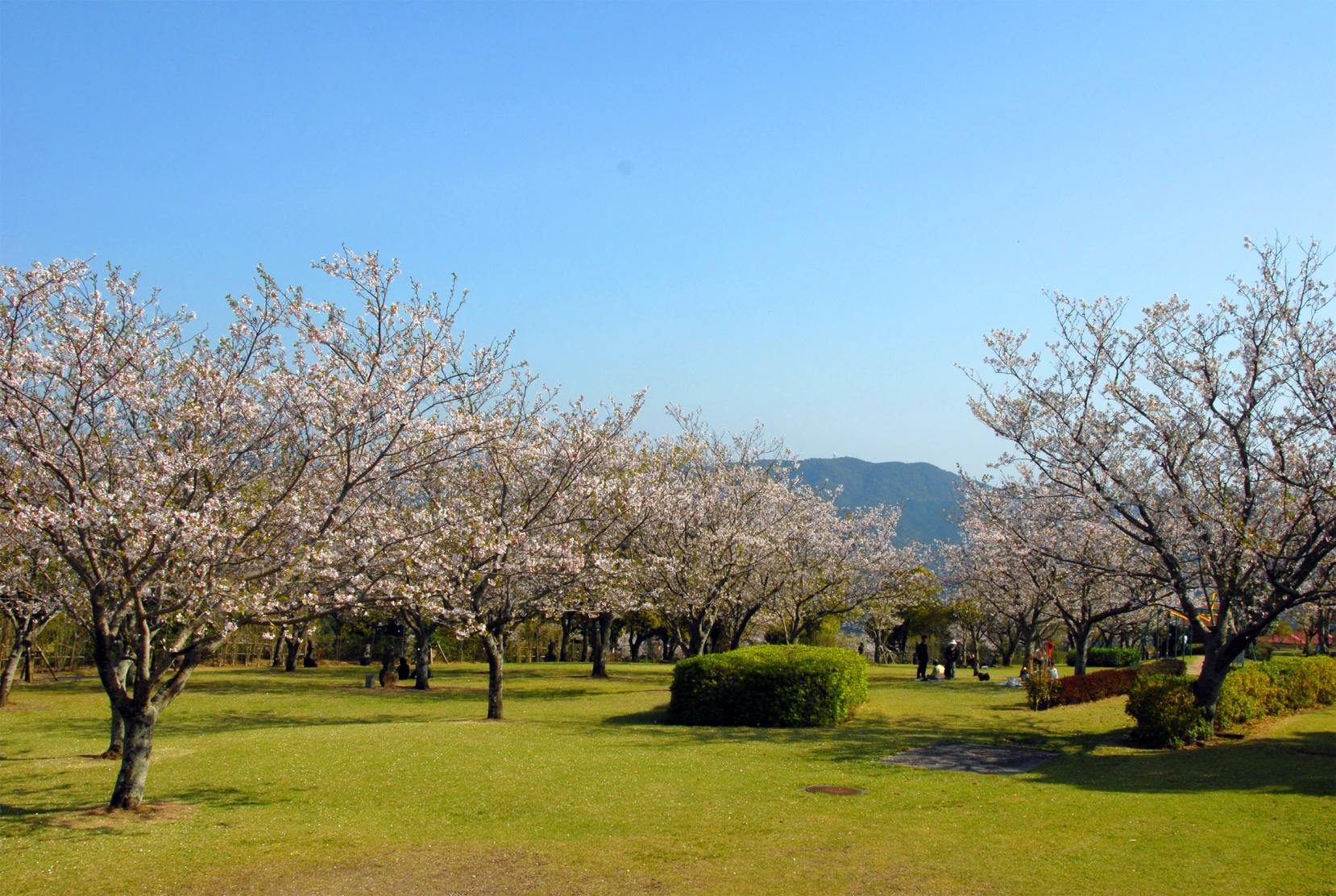 霧島ヶ丘公園・キャンプ場-1