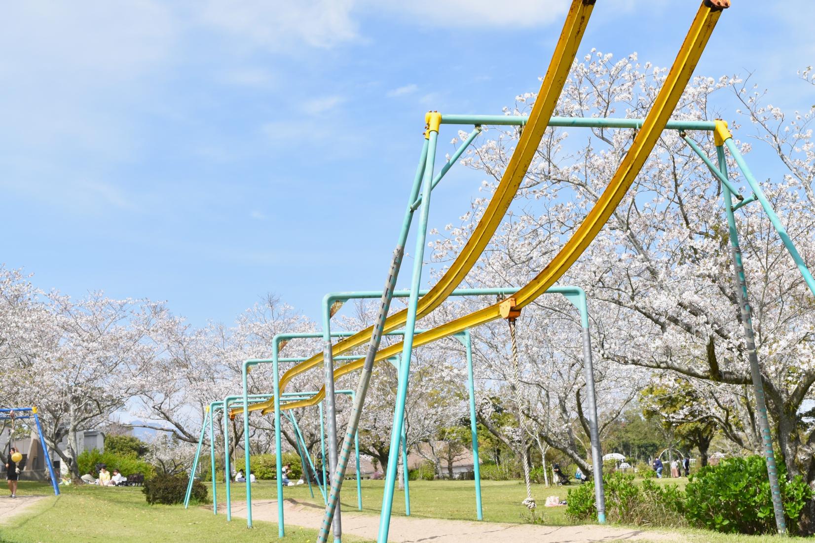 霧島ヶ丘公園・キャンプ場-0