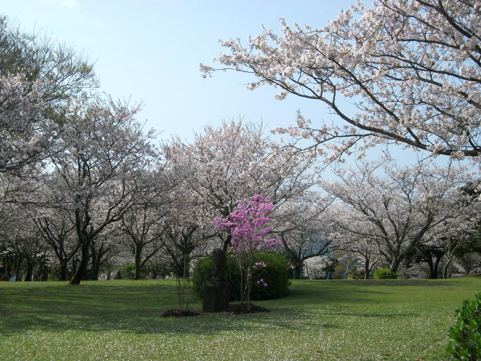 霧島ヶ丘公園・キャンプ場-2