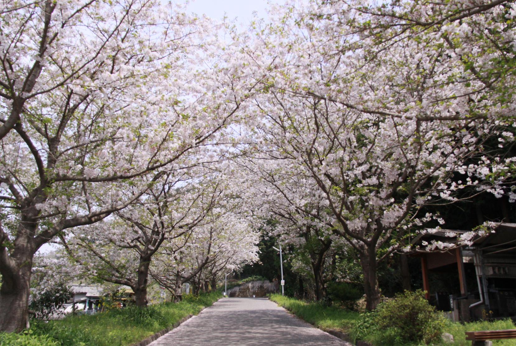 牛根境鉄道記念公園-0