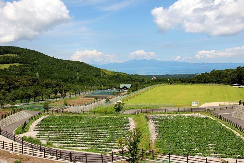 グリーンファーム (鹿児島市観光農業公園)（鹿児島市）-0