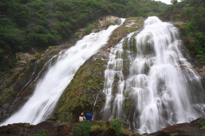 世界遺産 屋久島をぐるっと体感！2泊3日コース-1