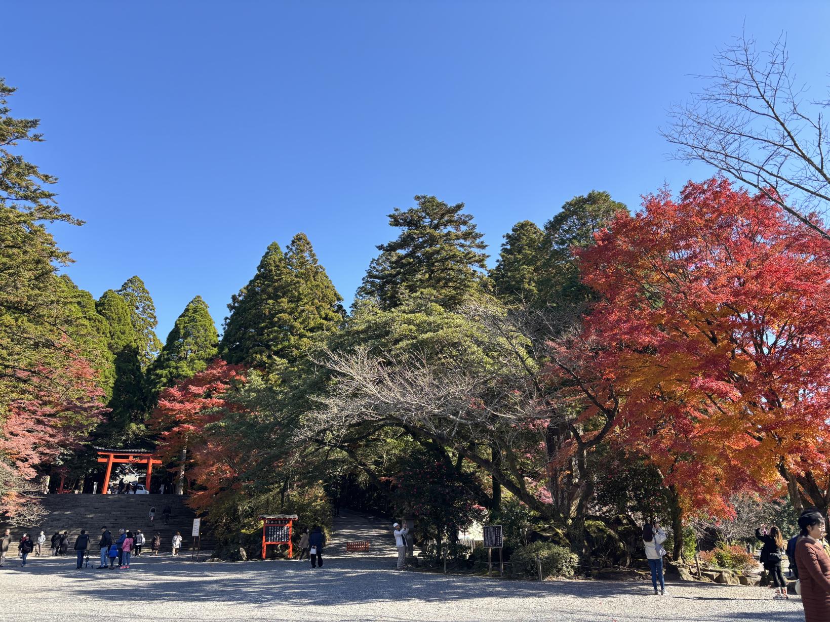 霧島神宮（霧島市）-7