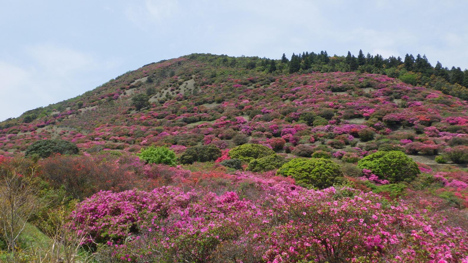 4.高峠【桜島の絶景】-0