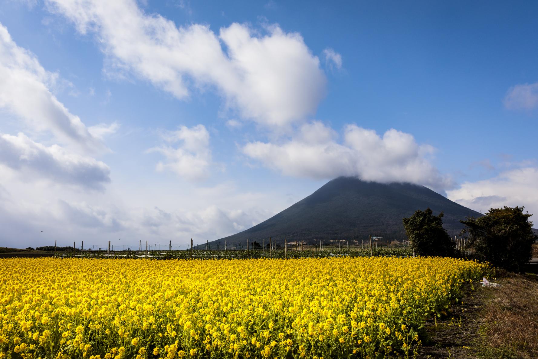 9.開聞岳【最南端の絶景】-0