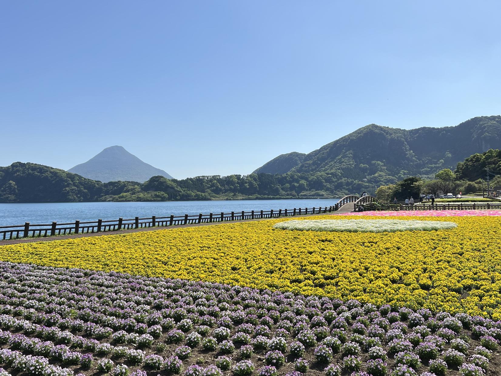 Lake Ikeda-0