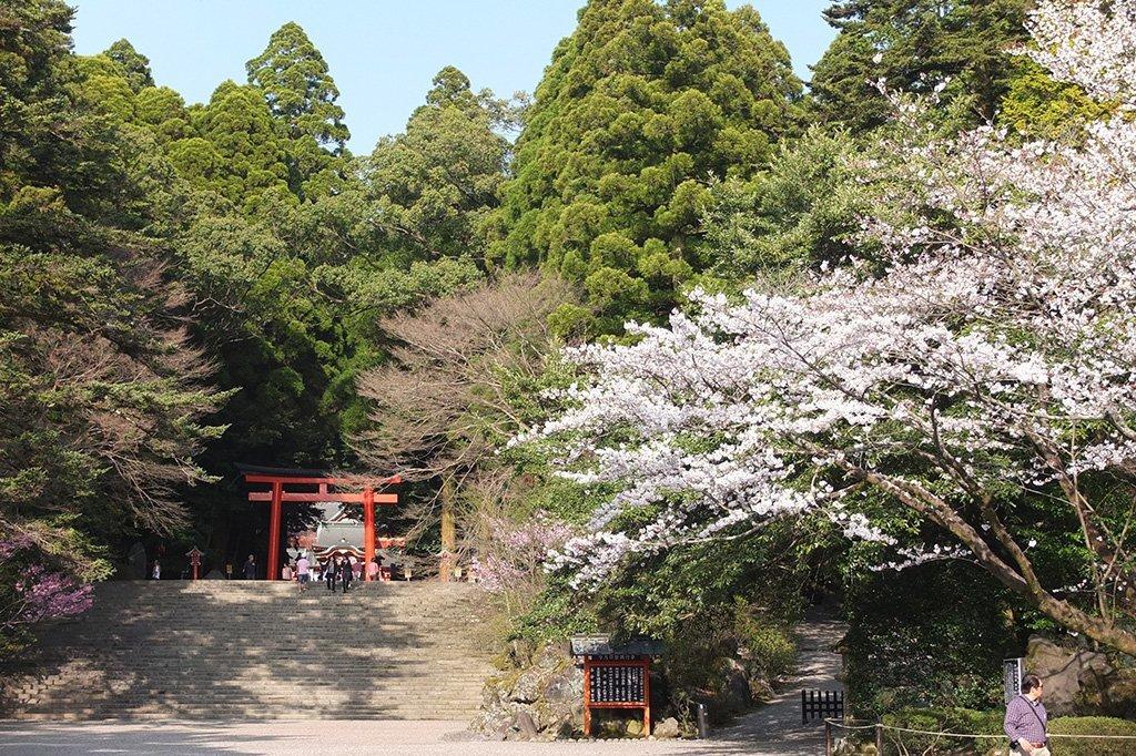 Đền Kirishima (Kirishima Jingu)-4