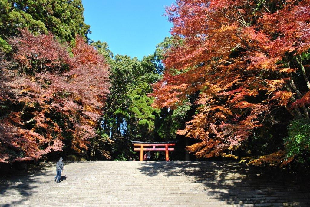 Đền Kirishima (Kirishima Jingu)-2