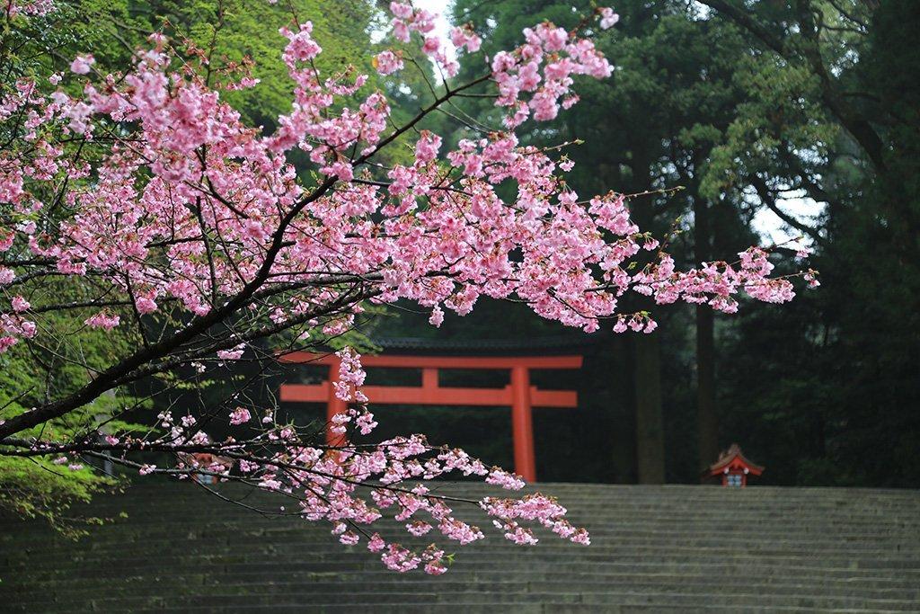 Đền Kirishima (Kirishima Jingu)-7