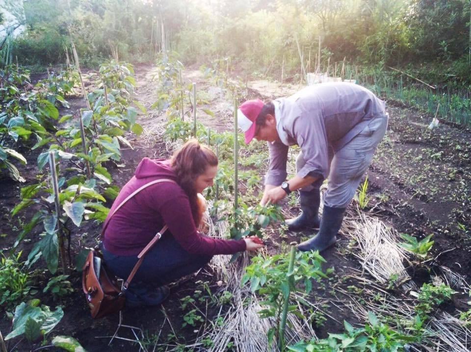 "Amazing nature and the kind heart of the people of Kagoshima!" - Martina (Italy)-4