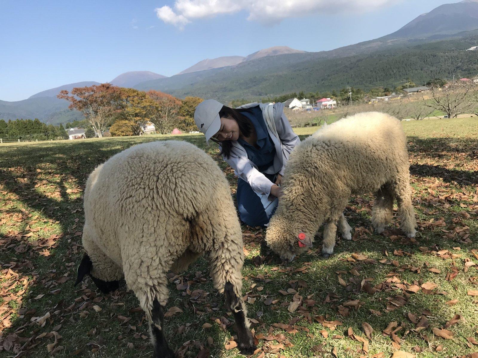 每当回忆起在鹿儿岛生活的点点滴滴，一定是脸上挂满笑容与回味无穷的吧!-4