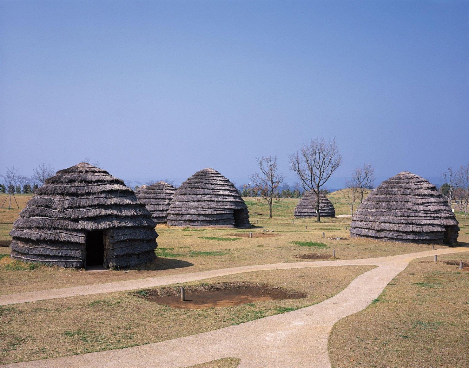 The Forest of Uenohara Jomon Site-0