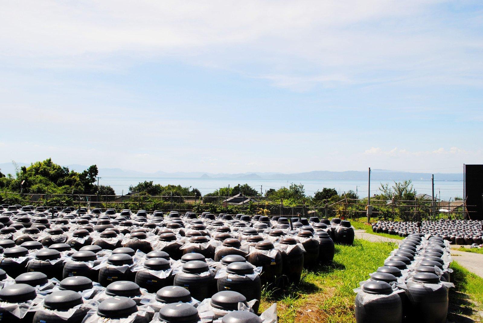 Black vinegar museum Tsubobatake-0