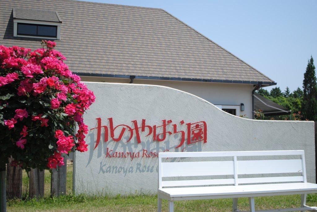 Kanoya Rose Garden, Kanoya City-4