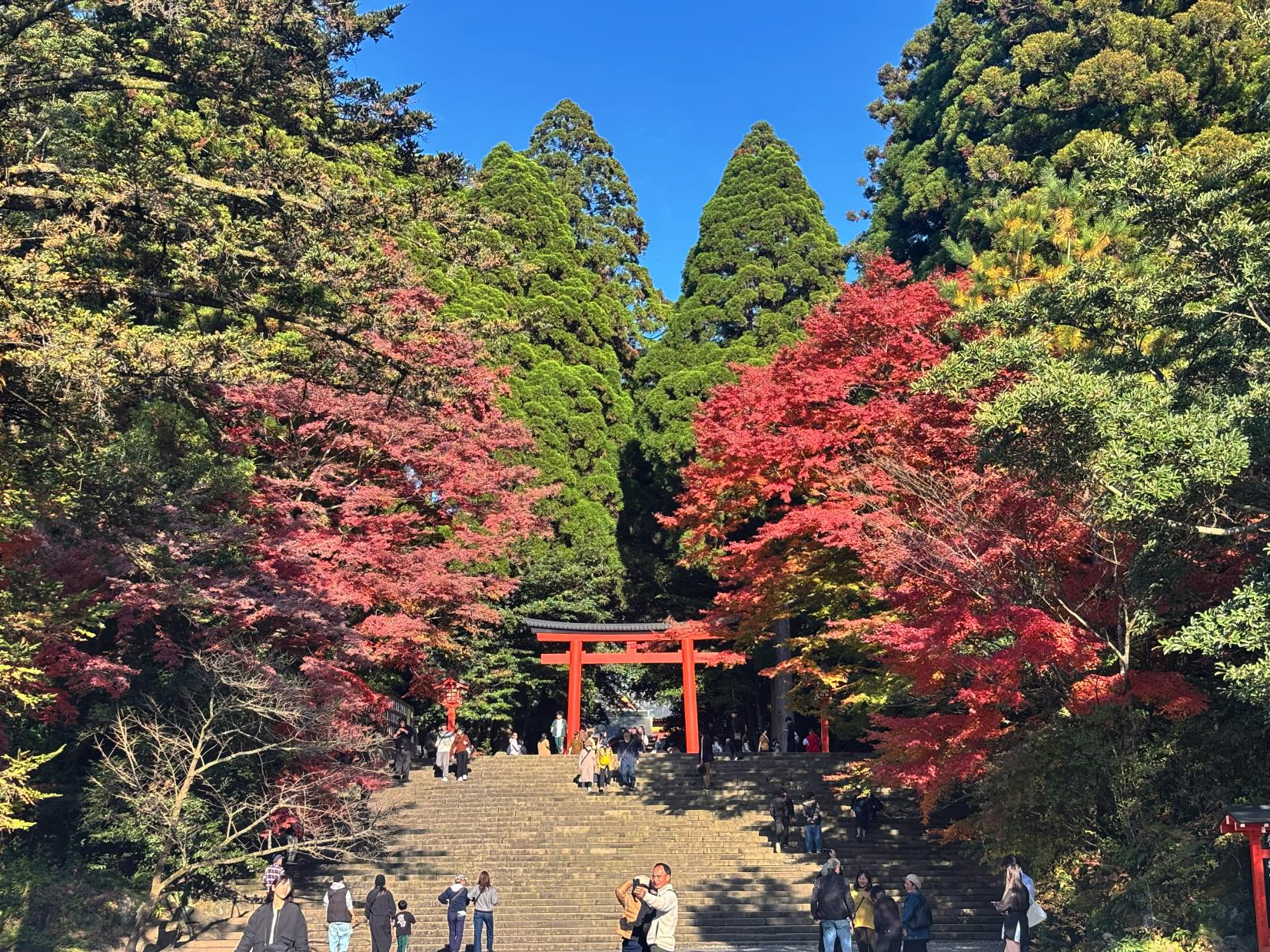 穿越古老神宮　步入世外仙境-0