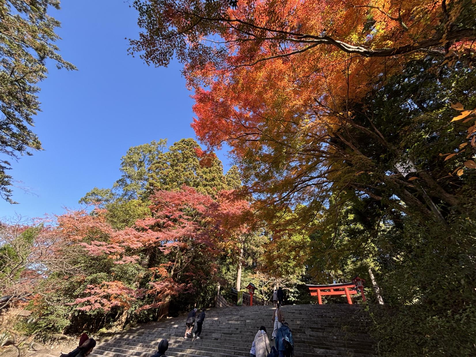 穿越古老神宮　步入世外仙境-3