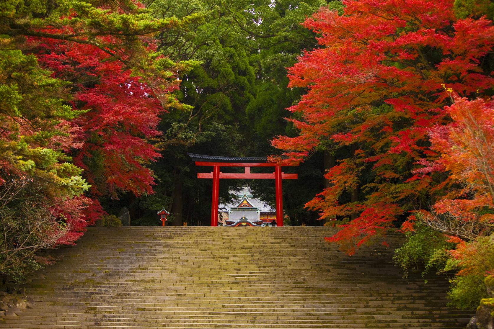 The Autumn Leaves of Kirishima-0