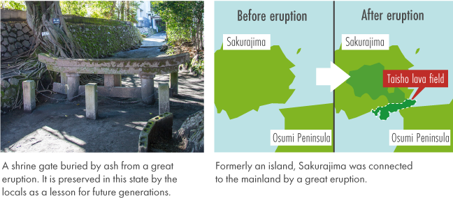 The people coexisting with Sakurajima-1