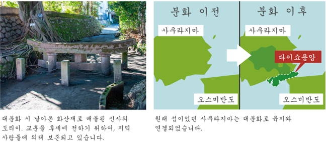 사쿠라지마와 함께 살아가는 사람들-1