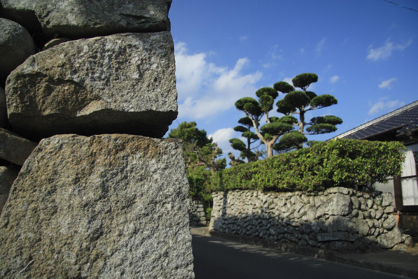 介紹甑島路線重點-0