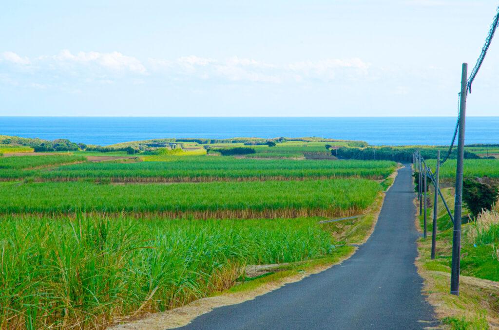 Features of the Tanegashima Route-0