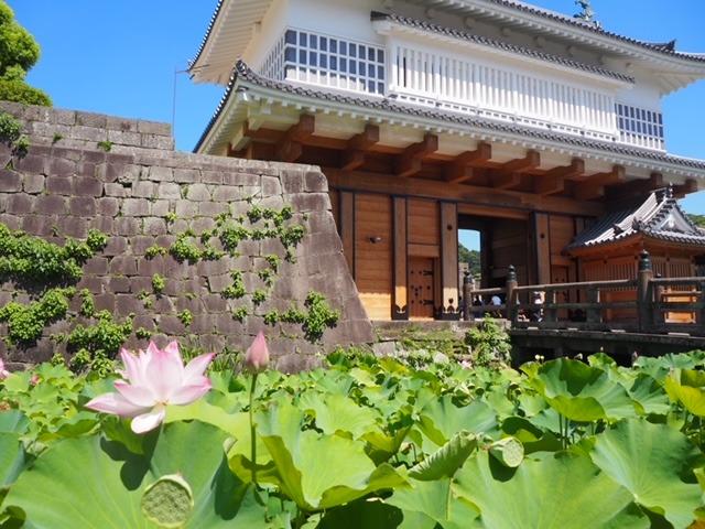 「おじゃったもんせ鹿児島」-0