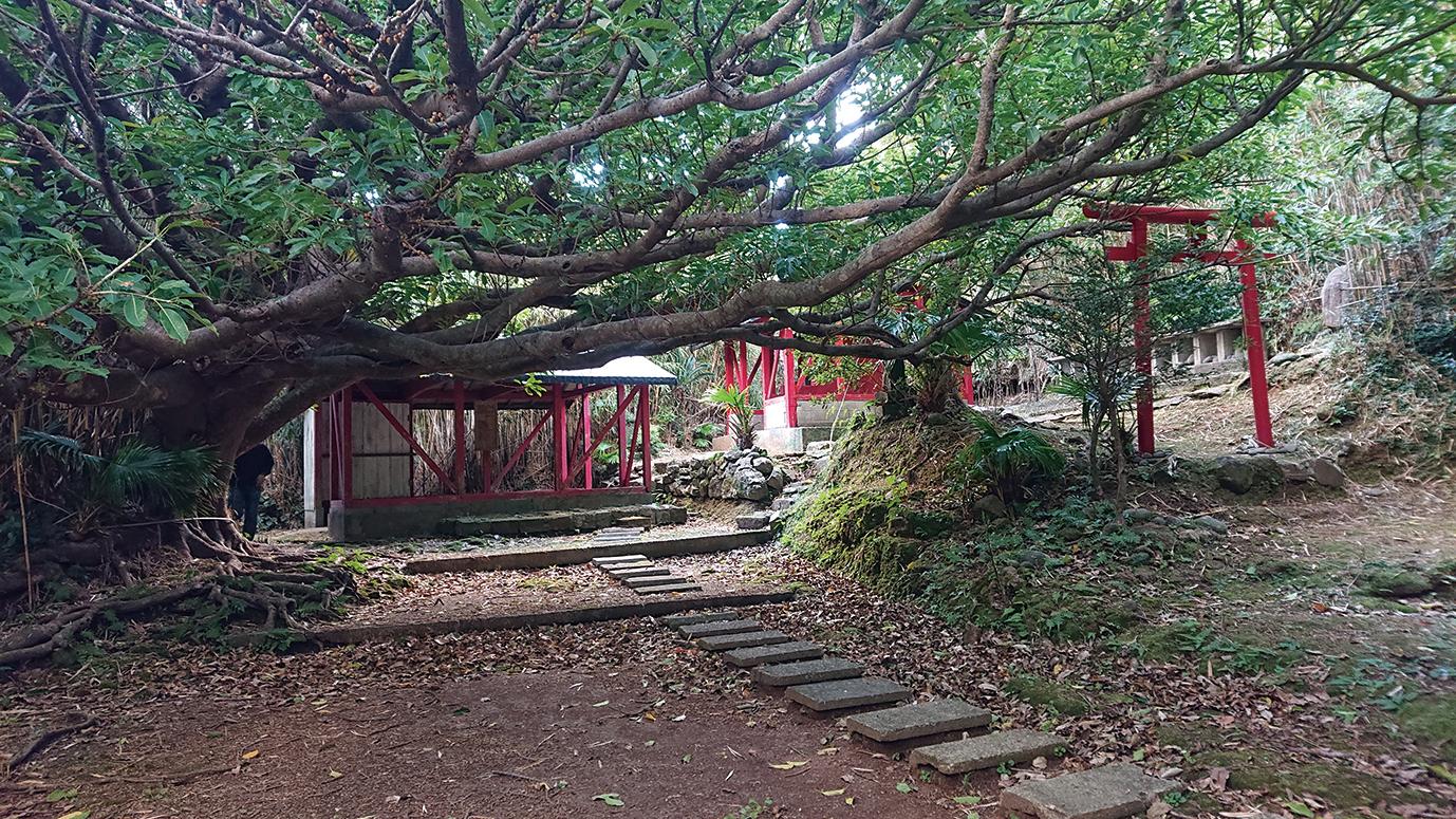 みしま県立自然公園の楽しみ方-5