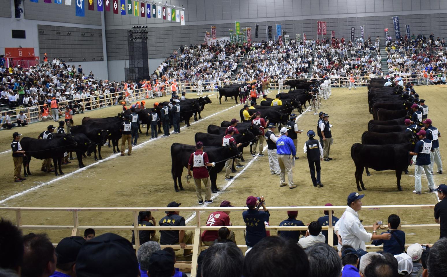 The Wagyu Festival -0