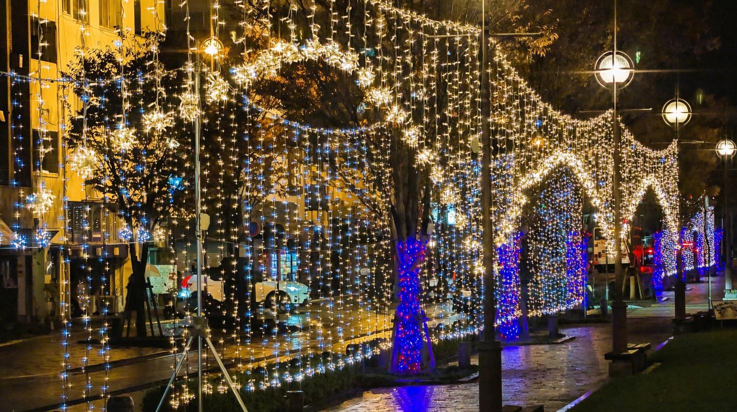 みなと大通り公園イルミネーション-3