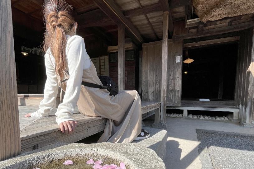 〇〇すぎる鹿児島旅行のモデルコース-0