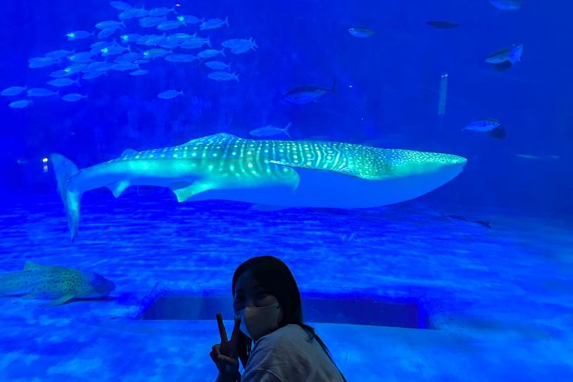 いおワールドかごしま水族館およびイルカ水路-0